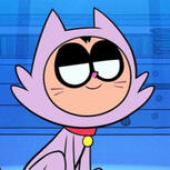 Robin